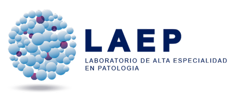 Logo Principal